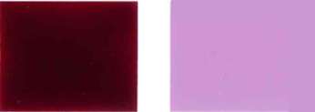 Pigment-våldsamma-19-Color